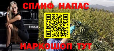 гашик Краснознаменск